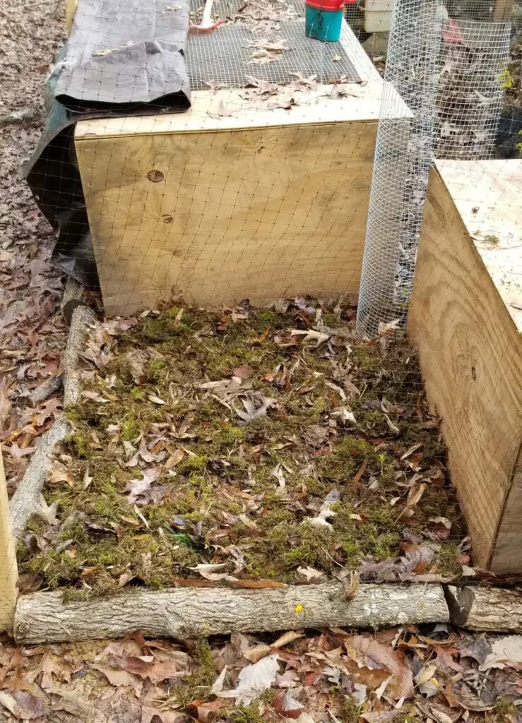 Leaves, dirt, moss, and pine needles for a natural quail enclosure bedding